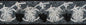 Grapes Mosaic Tile Border: Black & White Kitchen Wall Decor (6"x40")