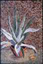 Aloe Vera Marble Mosaic Tile Art: Tropical Wall Hanging