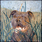 Handmade Bulldog Mosaic Tile Art: Marble Stone Pet Portrait