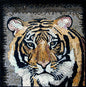Handmade Tiger Mosaic Tile Art: Wild Animal Mural (32"x32")