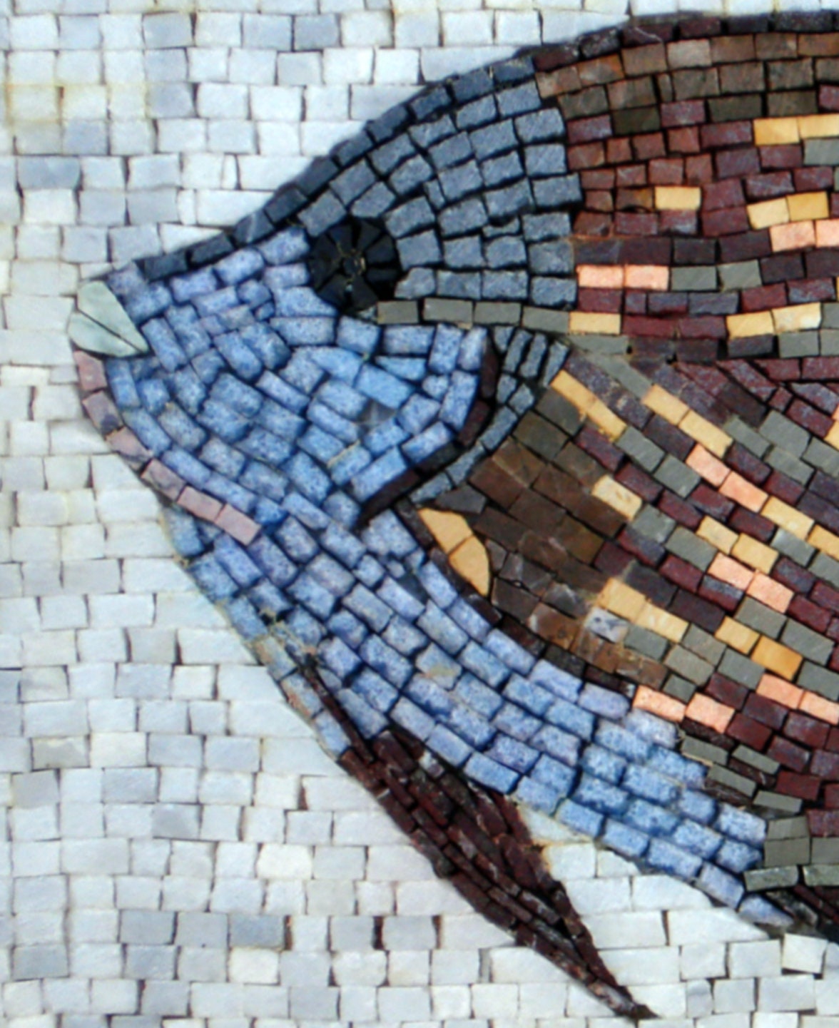 Handmade Fish Mosaic Tile Art: Sea Life Wall Decor (16x16)
