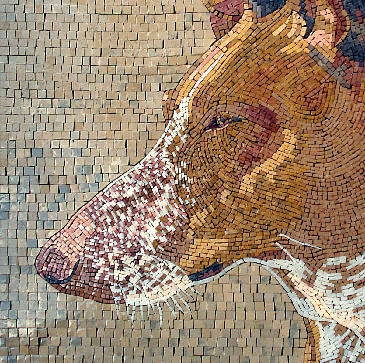 Handmade Basenji Dog Mosaic: Marble Pet Portrait Backsplash (24” x 24")