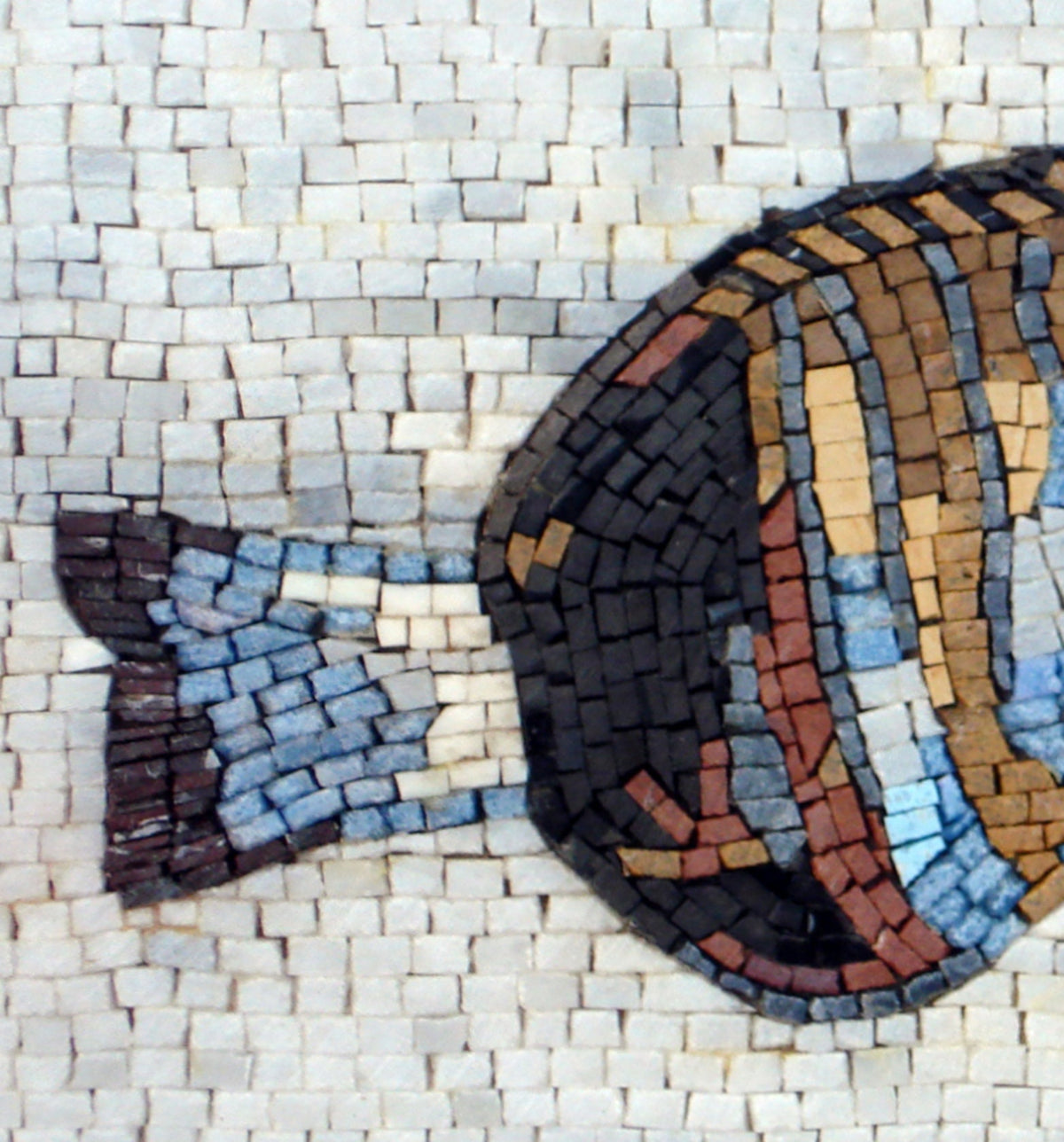 Handmade Fish Mosaic Tile Art: Marble Wall Decor (16x14)
