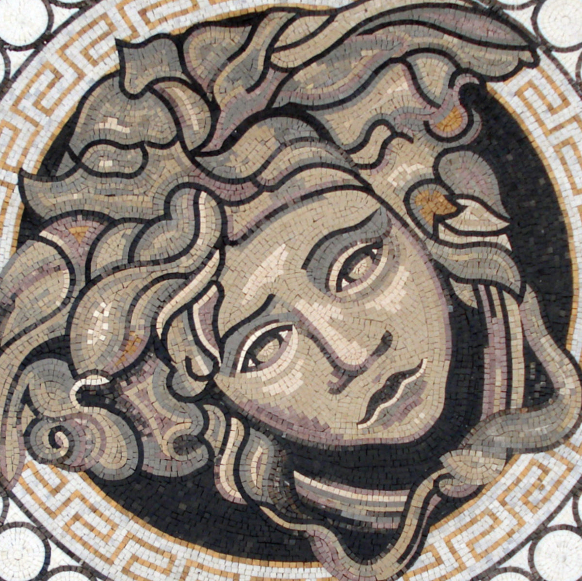 MEDUSA MOSAIC TILES |Medusa Art work Mosaic Floor Tiles For House Warming | Marble For Interior And Outdoor Hallway Entry And Walls