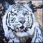 Handmade White Tiger Mosaic: Marble Stone Wall Art (40x40)