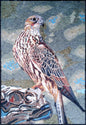 FALCON ART TILES| Wild Bird Mosaic Tiles And Backsplash For Living Room Walls| Falcon Artwork Tiles For Interior Hall And Rooms Decor
