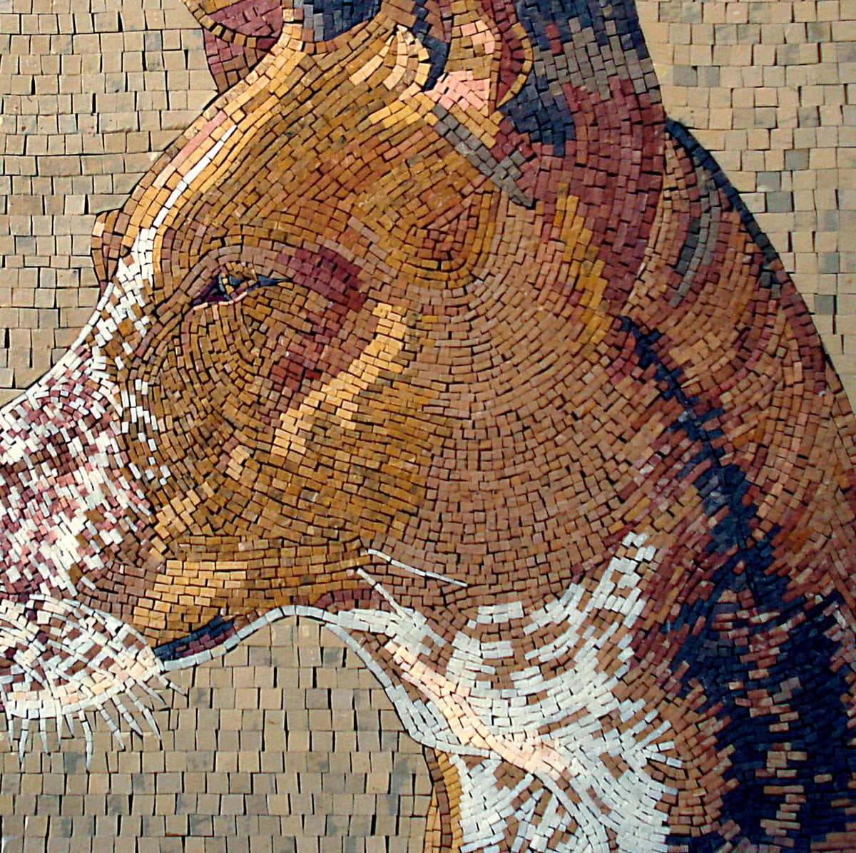 Handmade Basenji Dog Mosaic: Marble Pet Portrait Backsplash (24” x 24")