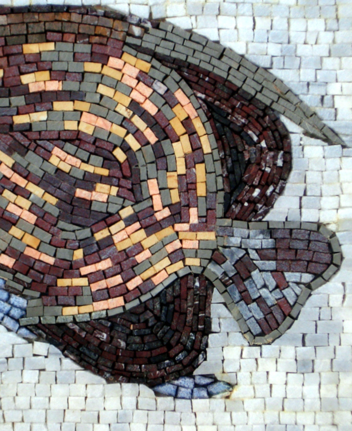 Handmade Fish Mosaic Tile Art: Sea Life Wall Decor (16x16)
